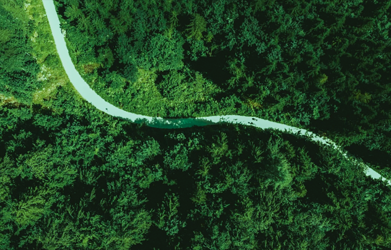 担责于身，推动绿色发展